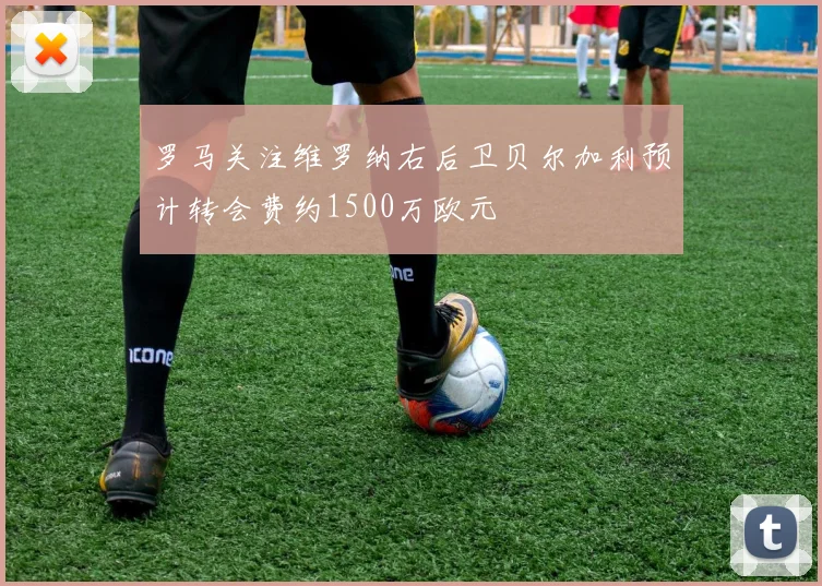 罗马关注维罗纳右后卫贝尔加利预计转会费约1500万欧元