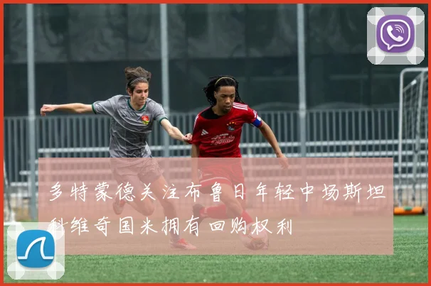 多特蒙德关注布鲁日年轻中场斯坦科维奇国米拥有回购权利