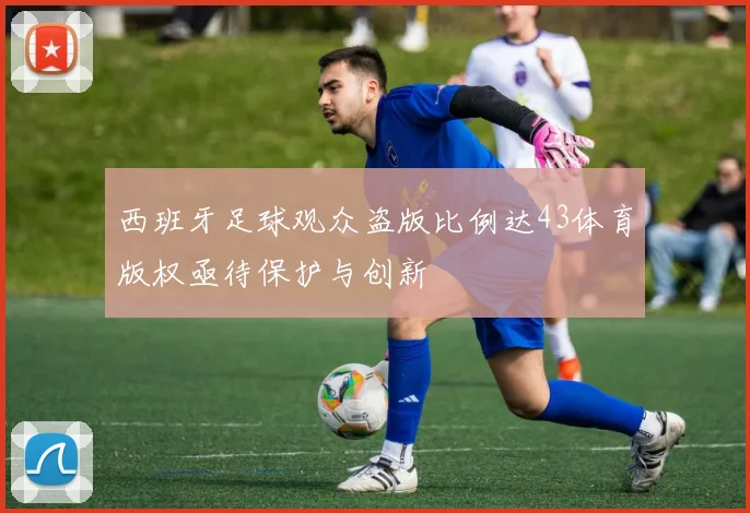 西班牙足球观众盗版比例达43体育版权亟待保护与创新
