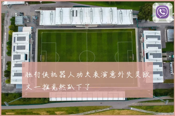 独行侠机器人功夫表演意外失灵欧文一推竟然趴下了