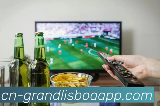 新葡京娱乐平台生态图